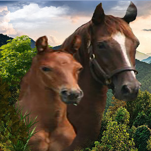 Poster J'adore les chevaux