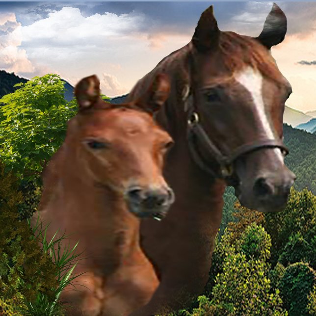 Poster J'adore les chevaux (Créateur téléchargé)