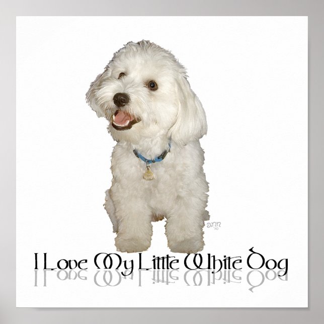 Poster J'adore mon petit chien blanc - Havanais (Devant)
