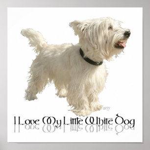 Poster J'adore mon petit chien blanc - Westie