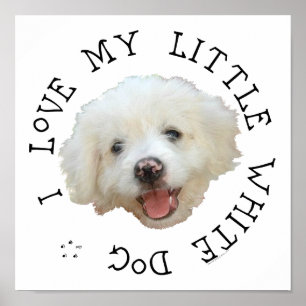 Poster J'adore mon petit chien de sauvetage blanc