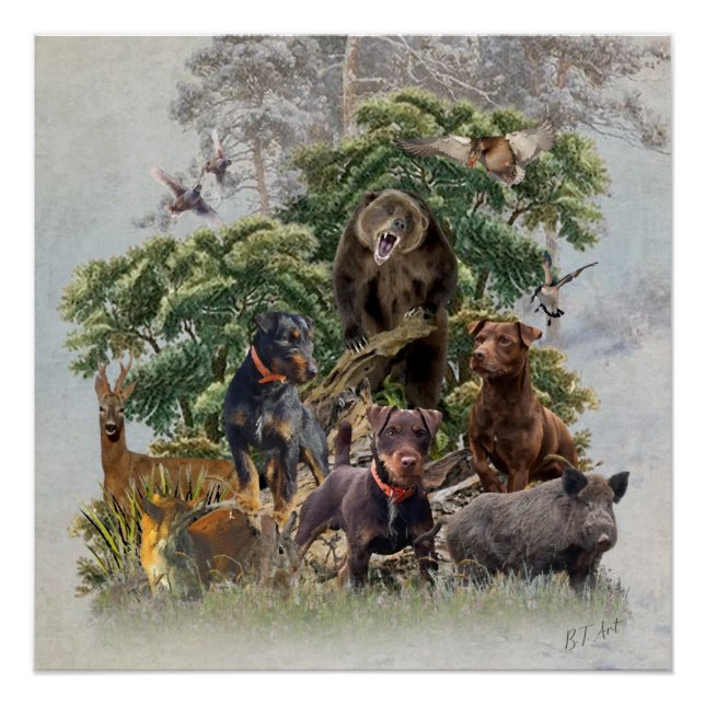 Poster Jagdterrier allemand, Toujours prêt à chasser (Devant)