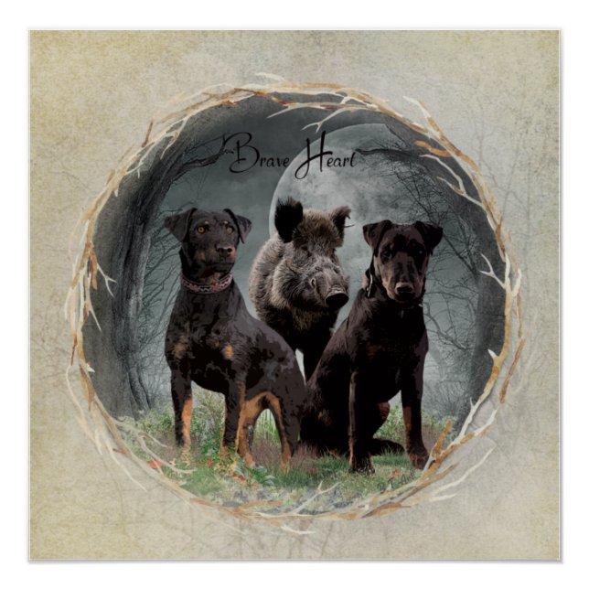 Poster Jagdterrier, courageuse tapisserie cardiaque (Devant)