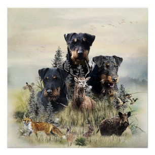 Poster Jagdterriers c. Renbrad Kennel