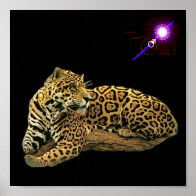 Poster Jaguar (Devant)