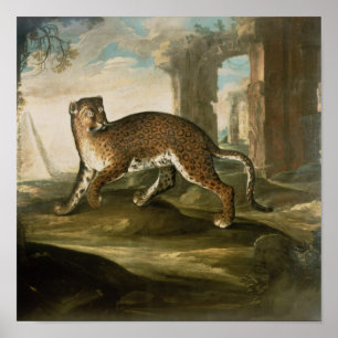 Poster Jaguar