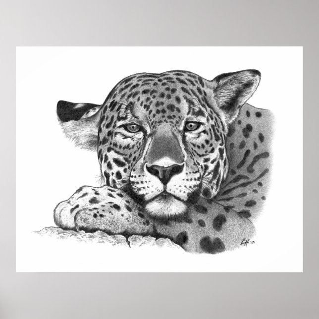 Poster Jaguar au crayon (Devant)