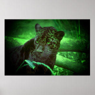 Poster Jaguar Black Panther