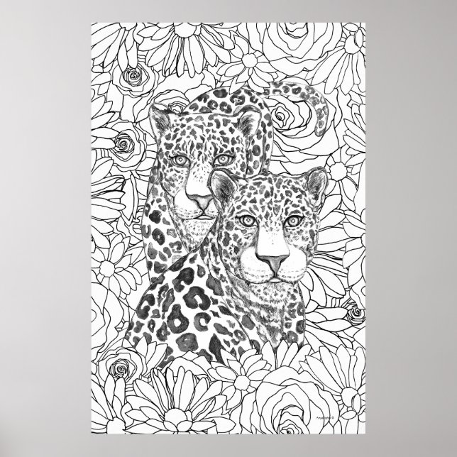 Poster Jaguar Caché (Devant)