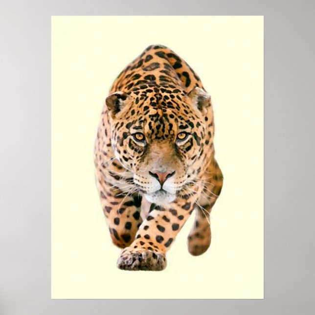 Poster Jaguar Eyes (Devant)