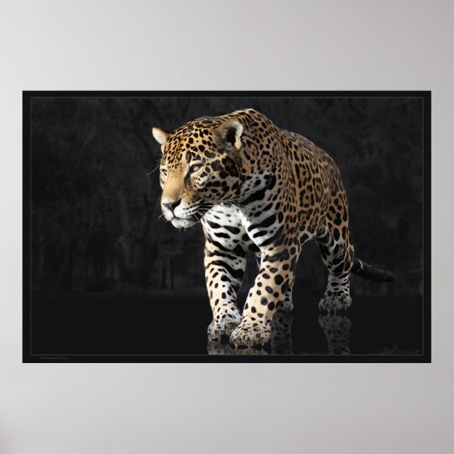 Poster Jaguar Power 2 -60x40 -autres tailles disponibles (Devant)