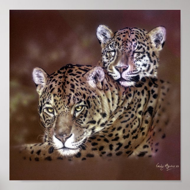 Poster Jaguars (Devant)