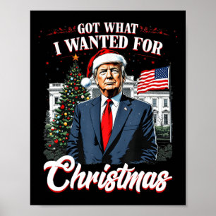 Poster J'Ai Ce Que Je Suis Recherché Pour Noël Trump 2024