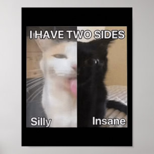Poster J'Ai Deux Côtés Silly Drôle Chat Drôle Pour Les Ho