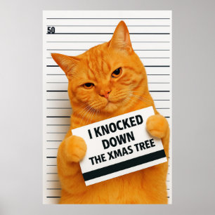 Poster J'ai fait tomber le sapin de Noël 😼🎄