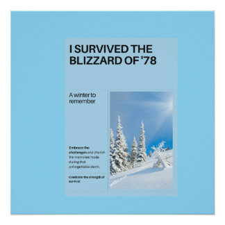 Poster J'ai survécu au Blizzard de '78