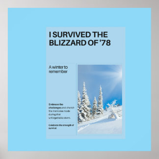Poster J'ai survécu au Blizzard de '78