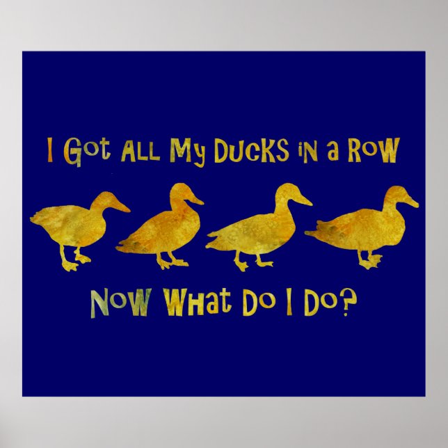 Poster J'Ai Tous Mes Canards Dans Une Rangée (Devant)