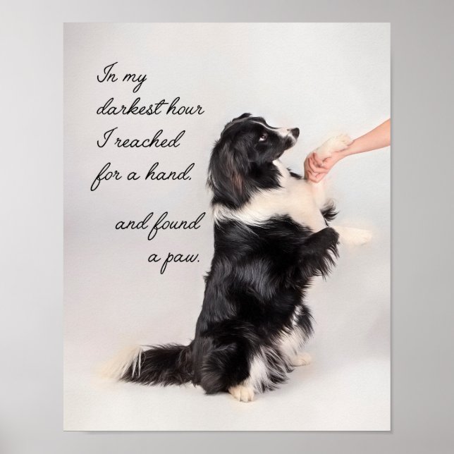 Poster J'ai trouvé une paw (Devant)