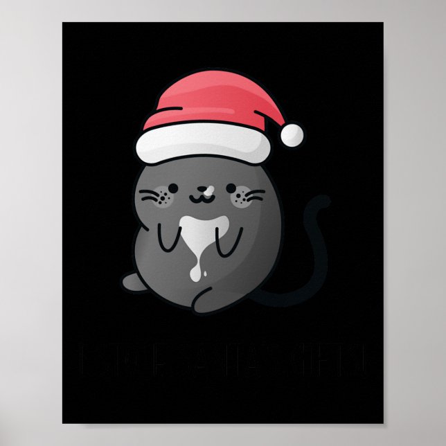 Poster J'Ai Volé Père Noël Cadeaux - Chat Cosy Mystery No (Devant)