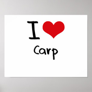 Poster J'aime Carp