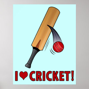 Poster J'aime la batte et la boule de cricket