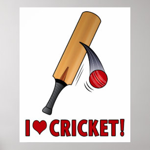 Poster J'aime la batte et la boule de cricket