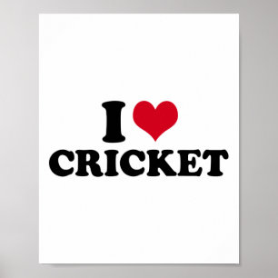 Poster J'aime le cricket 