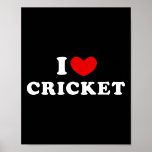 Poster J'aime le cricket