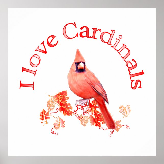 Poster J'aime les cardinaux (Devant)