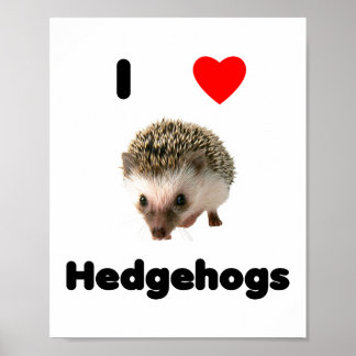 Poster J'aime les hérissons