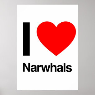 Poster j'aime les narvals