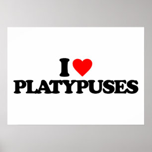 POSTER J'AIME LES PLATYPUSES