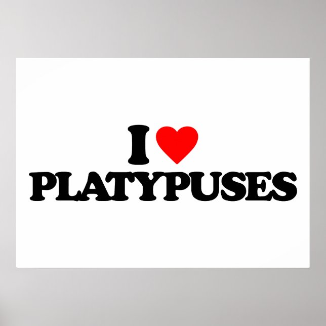 POSTER J'AIME LES PLATYPUSES (Devant)