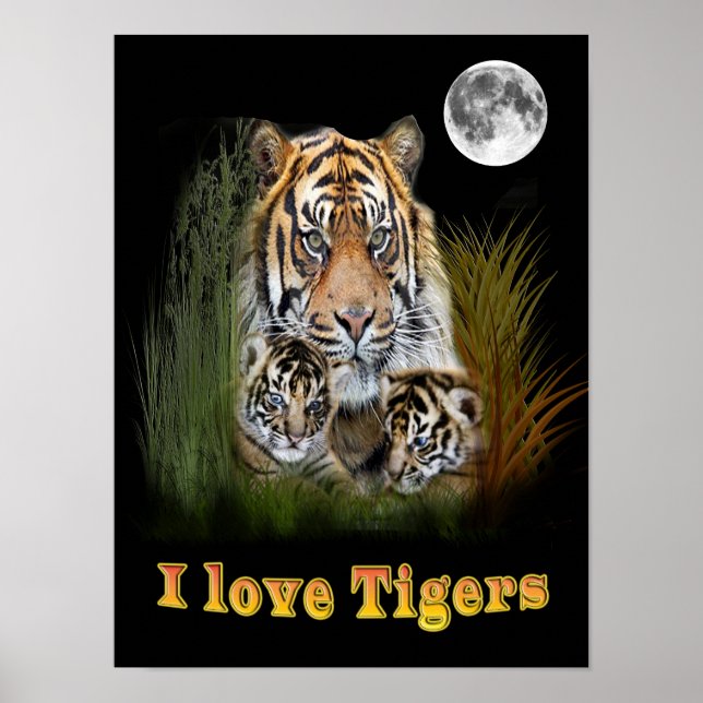 Poster J'aime les tigres (Devant)