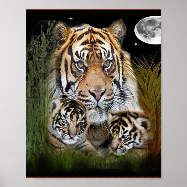 Poster J'aime les tigres (Devant)