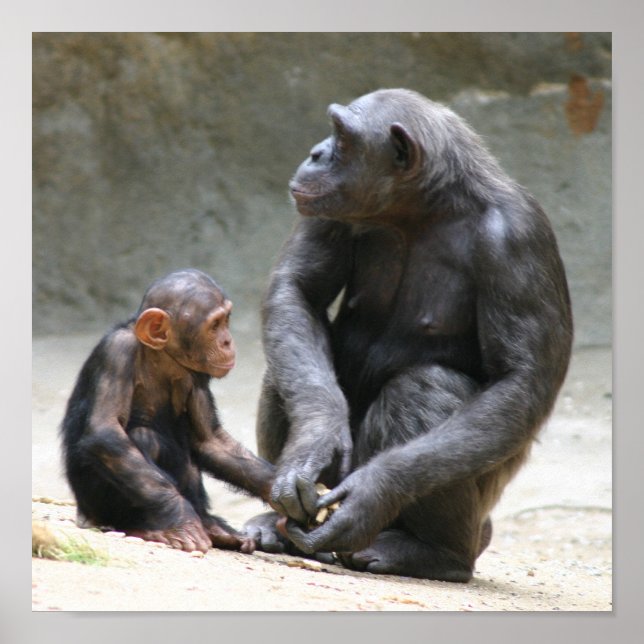 Poster J'aime ma mère (Devant)