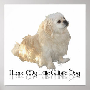 Poster J'Aime Mon Petit Chien Blanc - Pekingese !