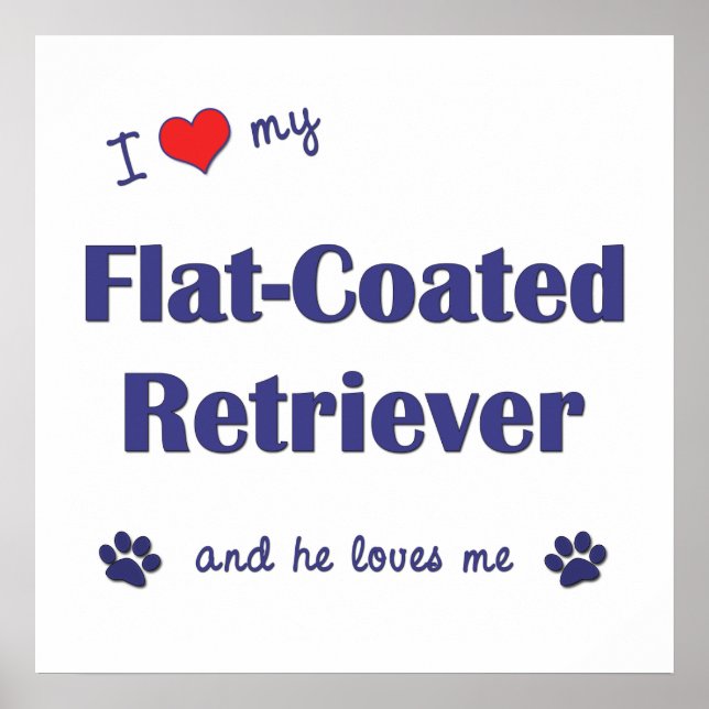 Poster J'Aime Mon Retriever À Plain (Chien Homme) (Devant)