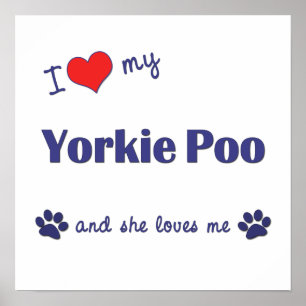 Poster J'Aime Mon Yorkie Poo (Chien Femme)