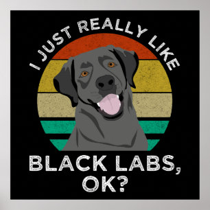 Poster J'Aime Vraiment Les Black Labs, OK ?