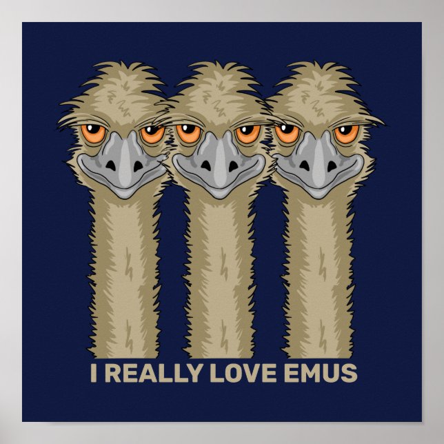 Poster J'aime vraiment les émeus (Devant)