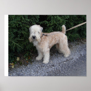 Poster Jake at the Biltmore