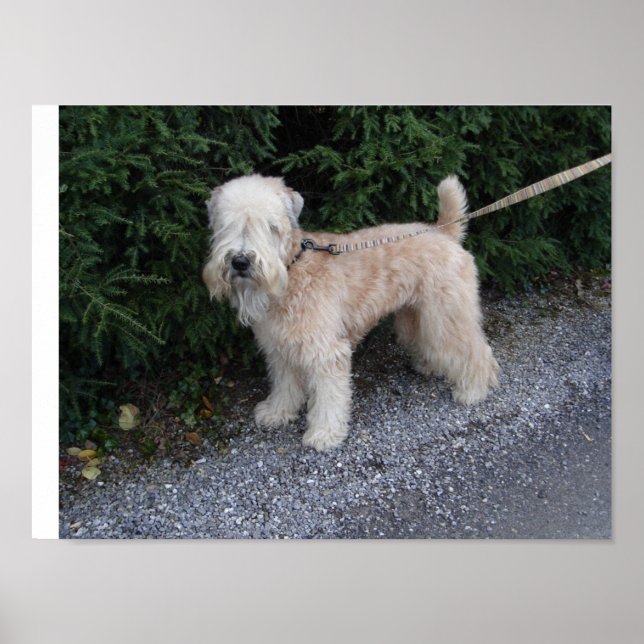 Poster Jake au Biltmore (Devant)