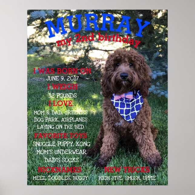 Poster Jalon personnalisé BARKday Chien Anniversaire de l (Devant)