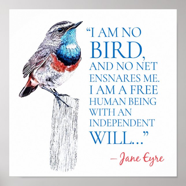 Poster Jane Eyre - Je Ne Suis Pas Un Oiseau - Oiseau Bleu (Devant)