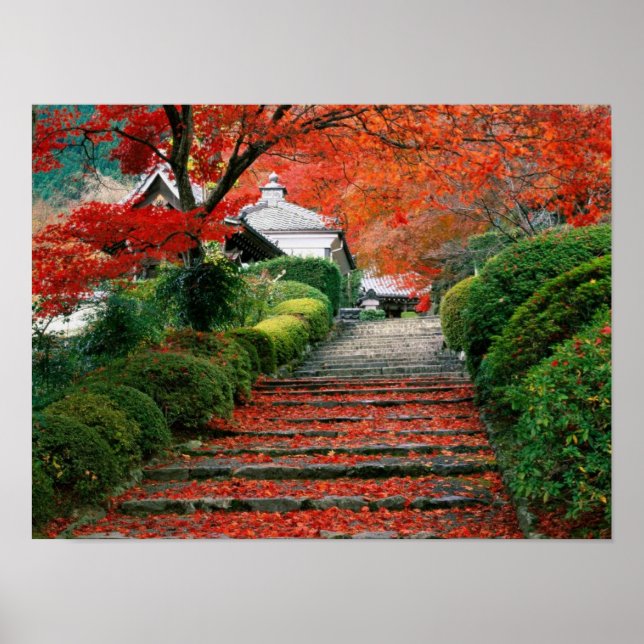 Poster Japon (Devant)