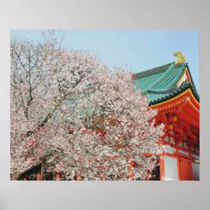 Poster Japon, Kyoto. Fleur de cerisiers de Shinto
