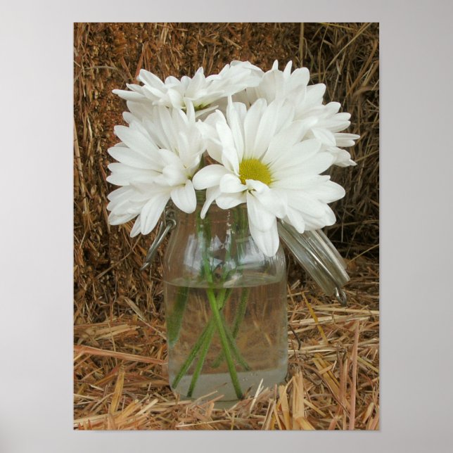 Poster Jar De Daisées Et De Hay (Devant)