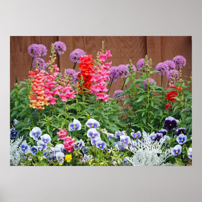 Poster Jardin aux fleurs colorées Photo (Devant)